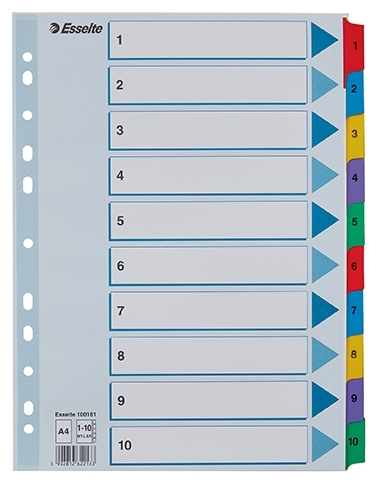 Esselte Registo Mylar cartão A4 1-10