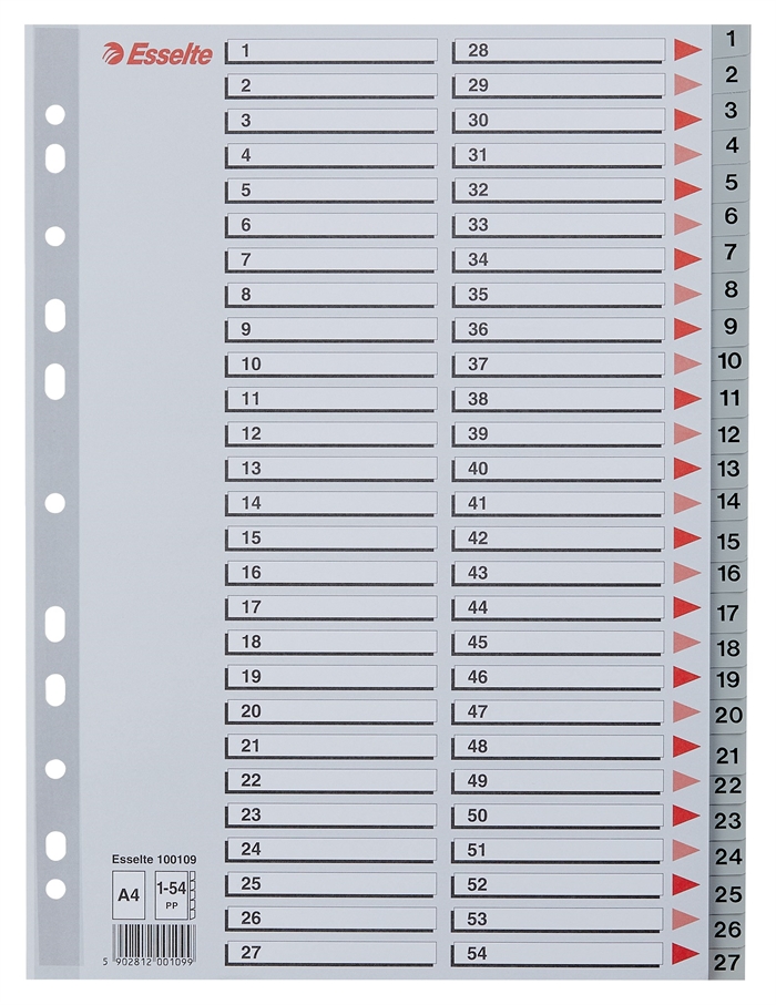 Esselte Registador PP A4 1-54 cinza