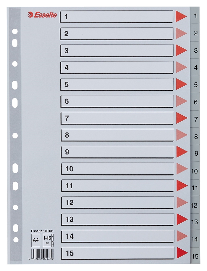 Esselte Registro PP A4 1-15 cinza