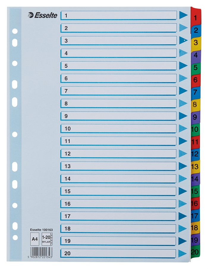 Esselte Registrar Mylar A4 1-20